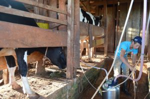 Productores familiares Fundacion Escolares 36